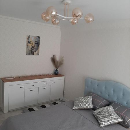 Comfortable Apartment Zamostyanska 34А Vinnitsja Eksteriør billede
